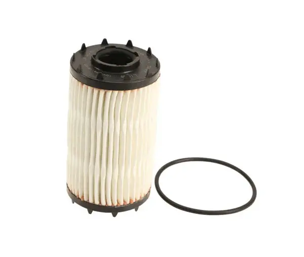 Audi Engine Oil Filter & Gasket 1