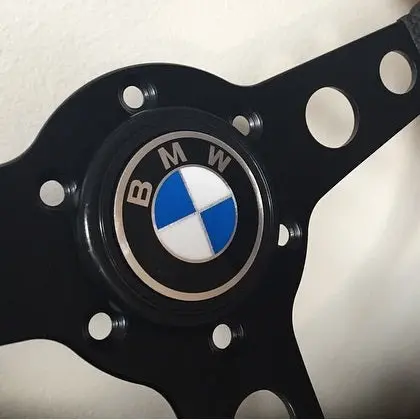 Renown Steering Wheel Horn Button 1