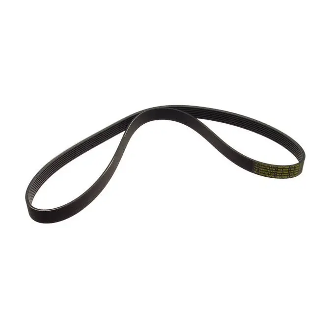 12V Vr6 Serpentine Belt (W/O Ac) 1