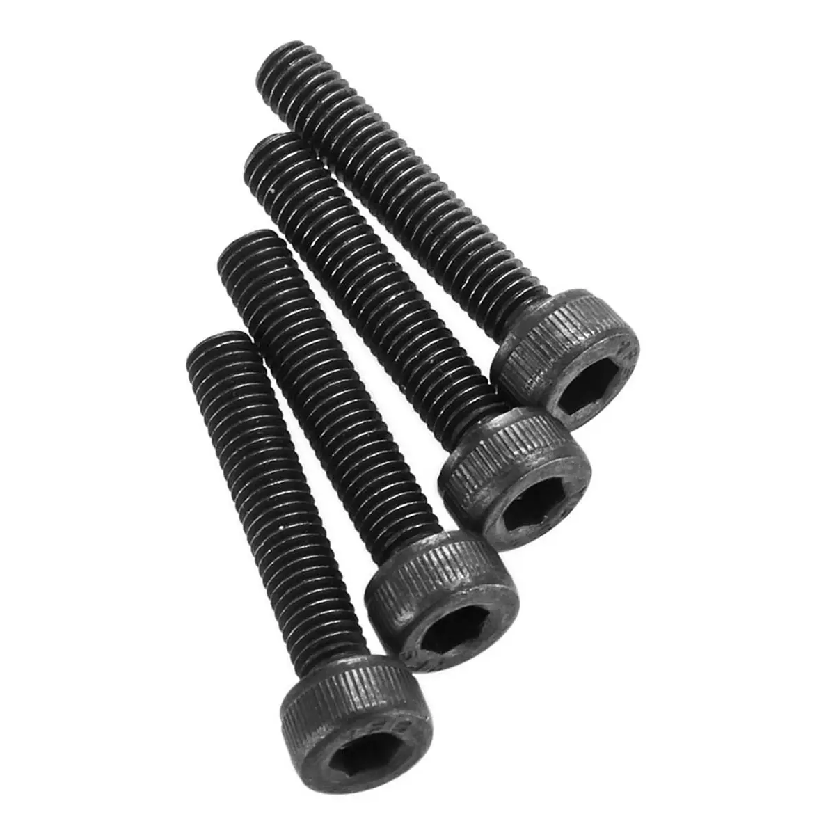 Cap Head Screw 3X16mm (4) 1