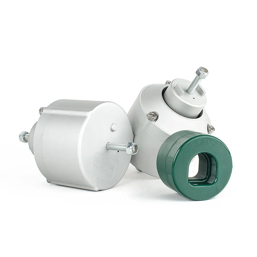 Bfi Audi B6/B7 Stage 1 Engine Mount Kit With Snub Mount 1