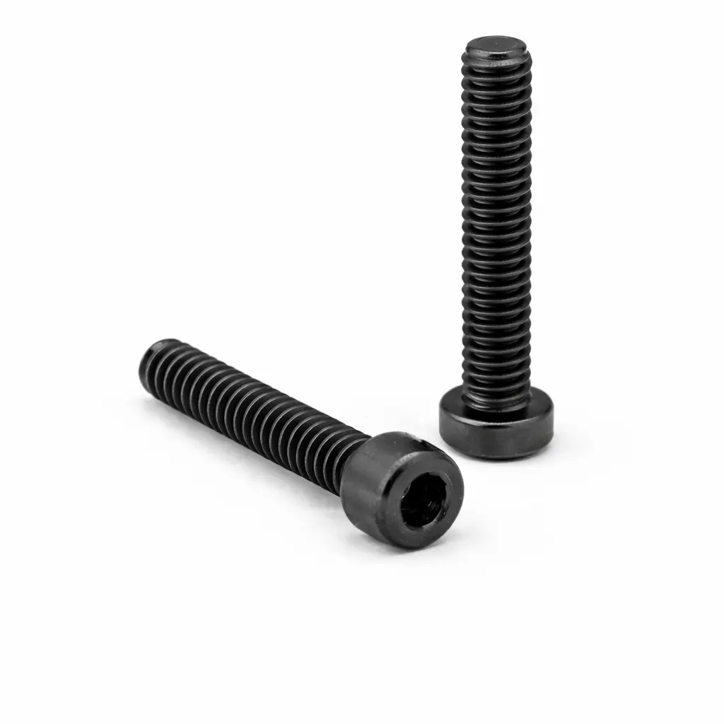 M2x20mm Cap Head Screws (2-Pack) 1