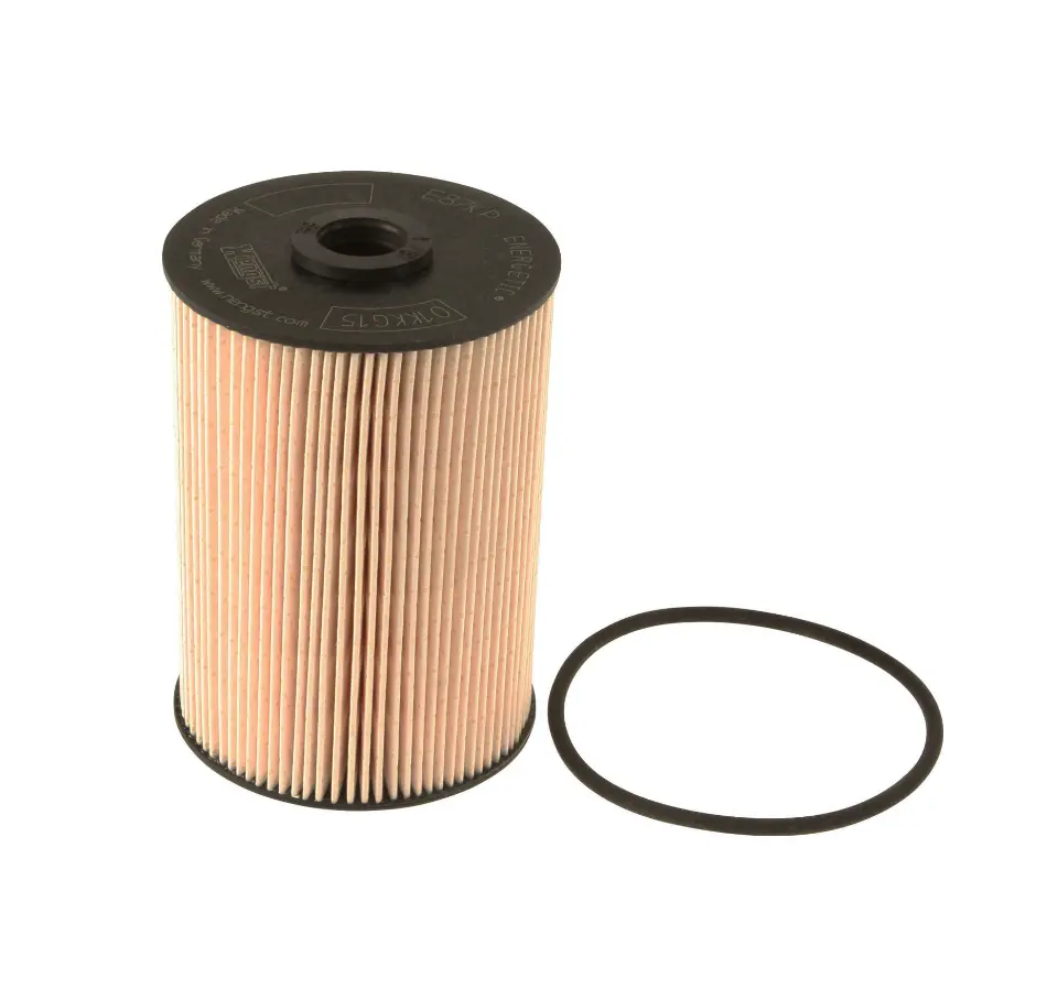 Hengst Diesel Fuel Filter 1