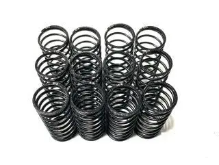 Team Gfrp Big Bore Rated Shock Spring Set 1