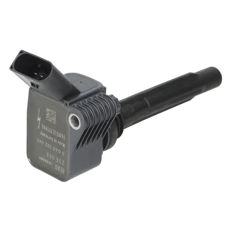Oem Beru Coil Pack 1