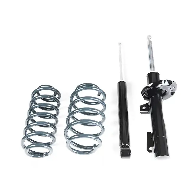 Racingline Mk5 / Mk6 Sport Damper  & Spring Kit 1